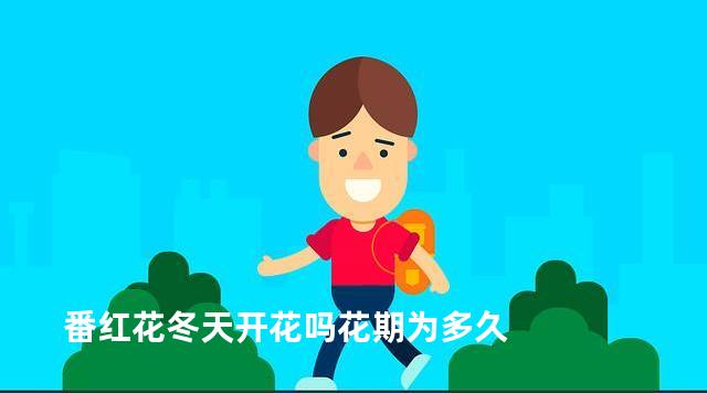 番红花冬天开花吗花期为多久