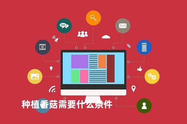 种植香菇需要什么条件