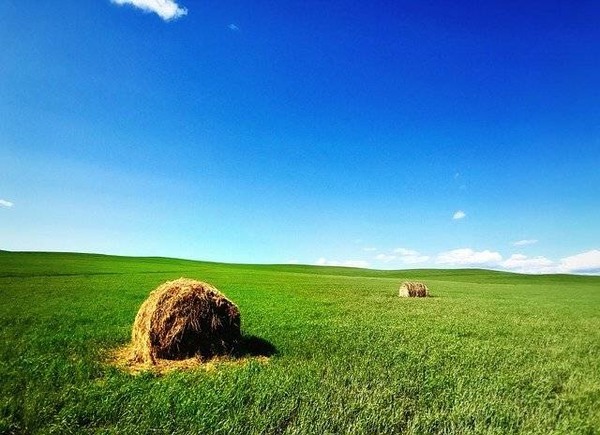 全国钢材市场价格稳中有升 区域分化明显