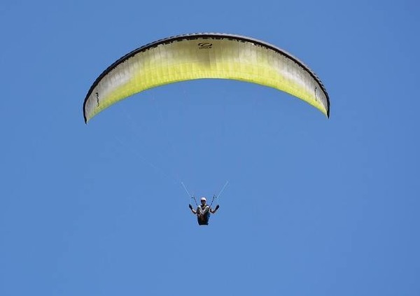 全国猪价窄幅调整 区域分化态势显现