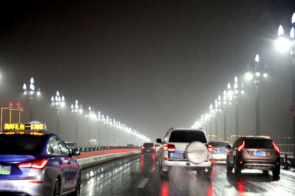 全国猪价震荡调整 南北区域分化明显