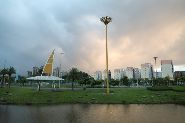 全国猪价震荡调整 区域分化态势加剧