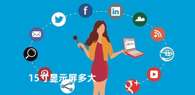 15寸显示屏多大