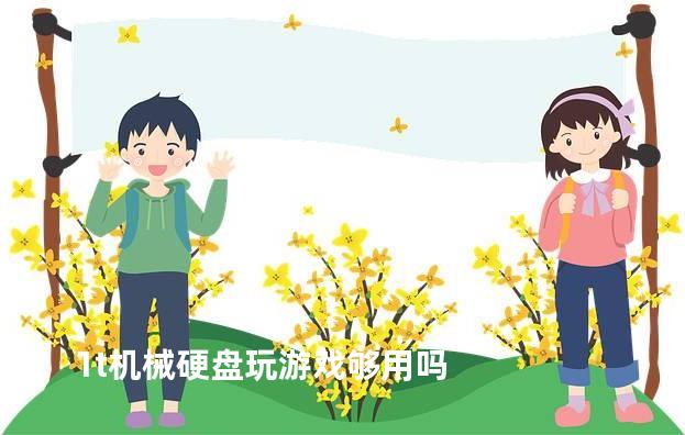 1t机械硬盘玩游戏够用吗