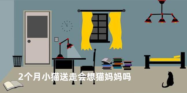 2个月小猫送走会想猫妈妈吗