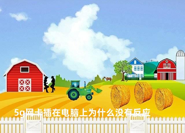 5g网卡插在电脑上为什么没有反应