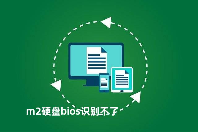 m2硬盘bios识别不了