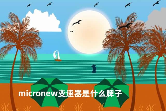 micronew变速器是什么牌子