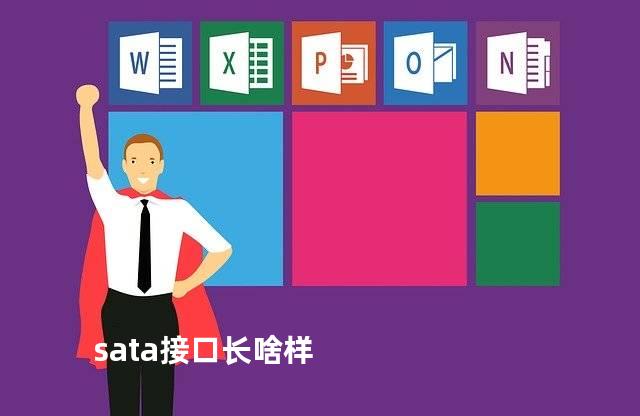 sata接口长啥样
