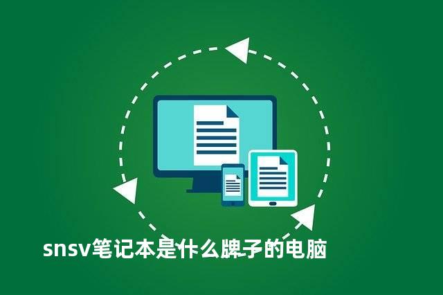 snsv笔记本是什么牌子的电脑
