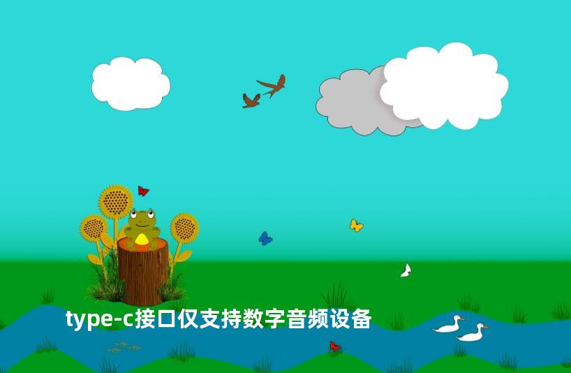 type-c接口仅支持数字音频设备