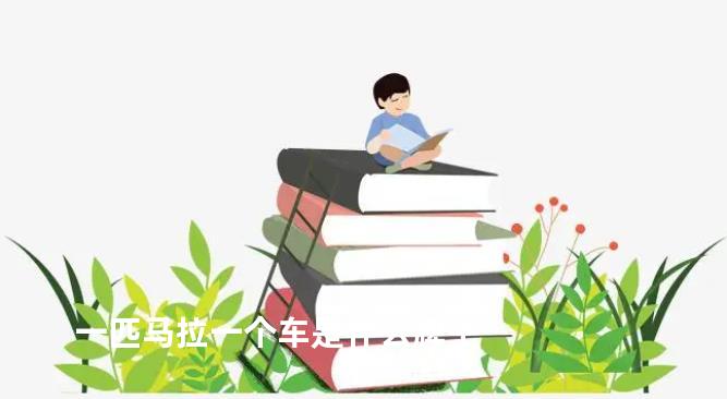 一匹马拉一个车是什么牌子