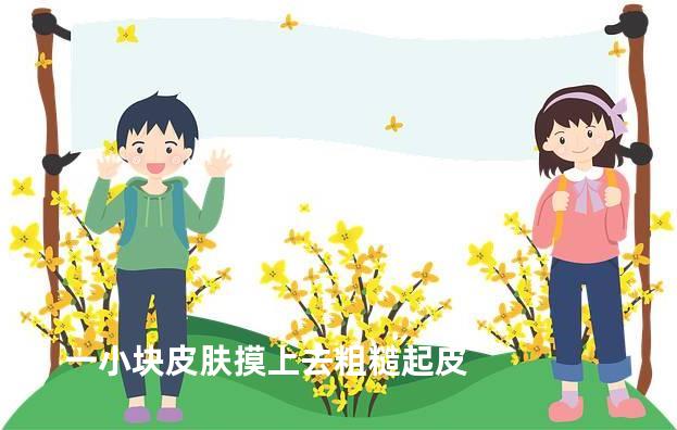 一小块皮肤摸上去粗糙起皮