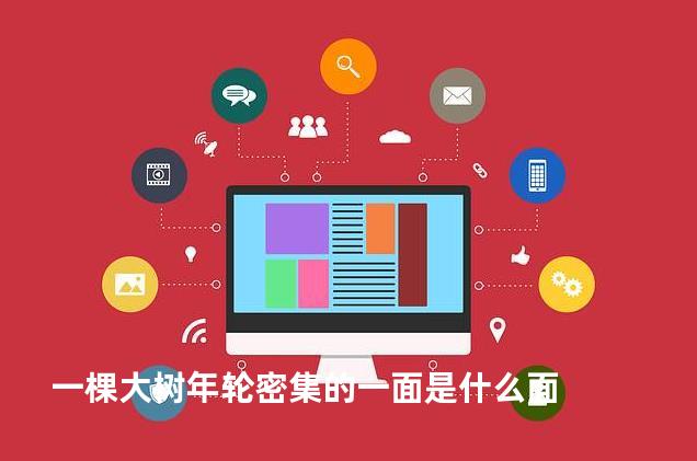 一棵大树年轮密集的一面是什么面