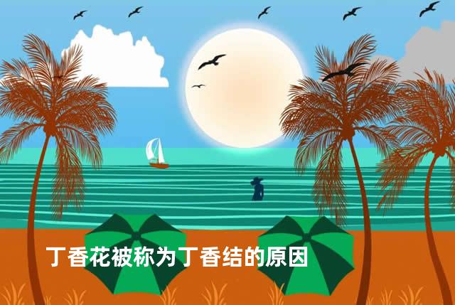 丁香花被称为丁香结的原因