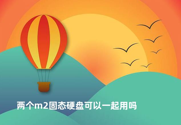 两个m2固态硬盘可以一起用吗