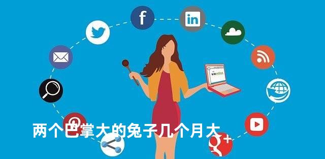 两个巴掌大的兔子几个月大