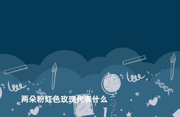 两朵粉红色玫瑰代表什么