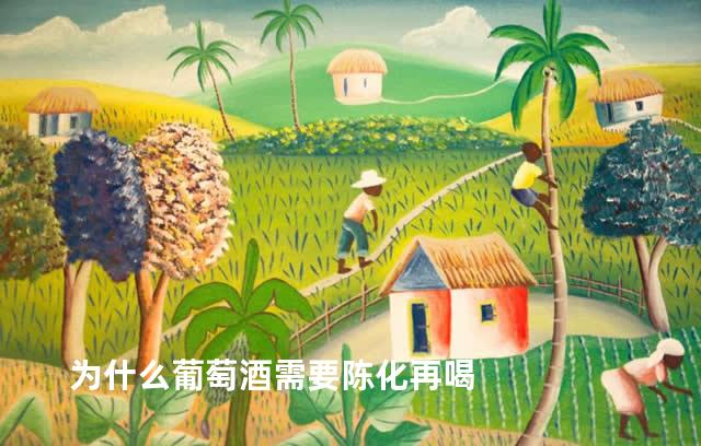 为什么葡萄酒需要陈化再喝