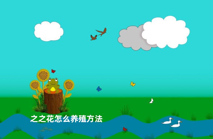 之之花怎么养殖方法
