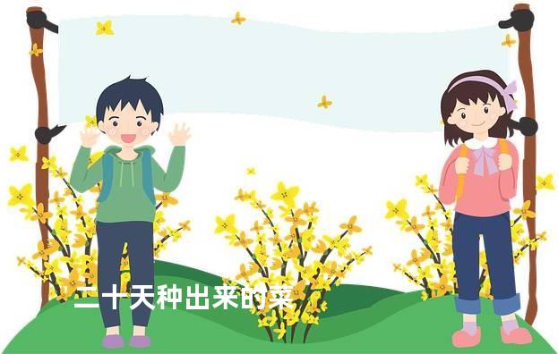 二十天种出来的菜