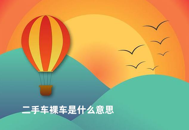 二手车裸车是什么意思