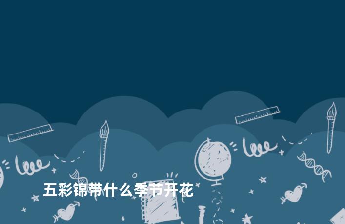 五彩锦带什么季节开花