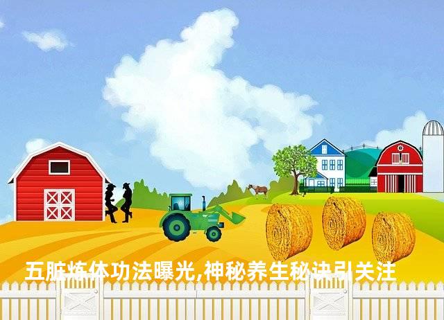 五脏炼体功法曝光,神秘养生秘诀引关注