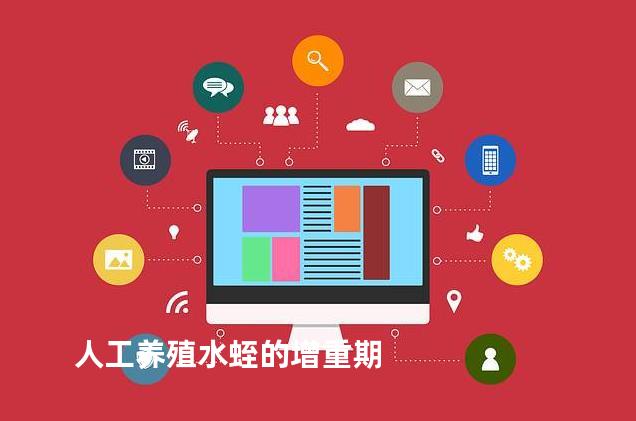 人工养殖水蛭的增重期