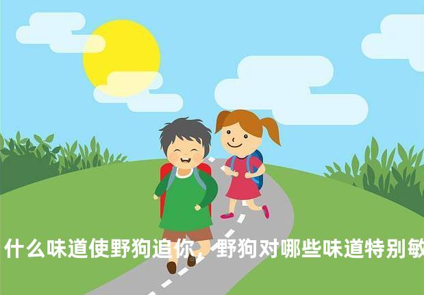 什么味道使野狗追你，野狗对哪些味道特别敏感？