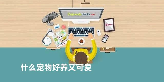 什么宠物好养又可爱