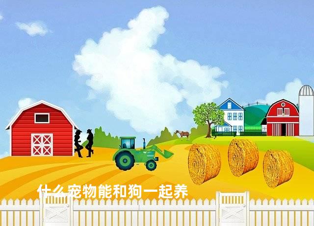 什么宠物能和狗一起养
