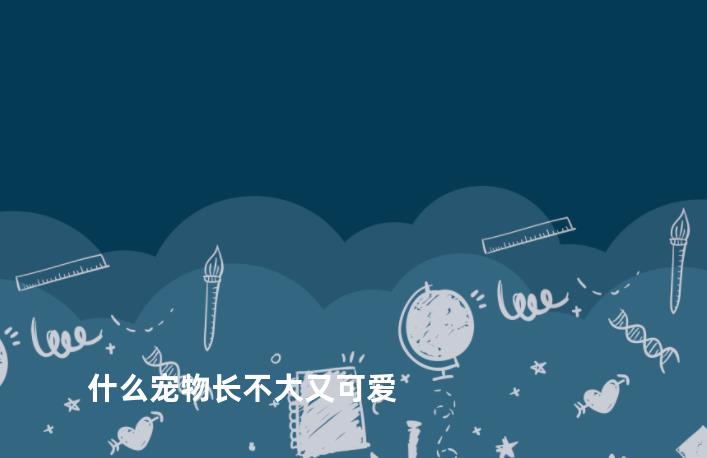 什么宠物长不大又可爱