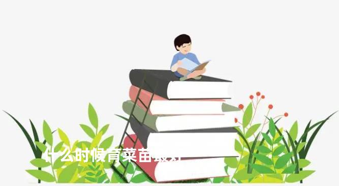 什么时候育菜苗最好