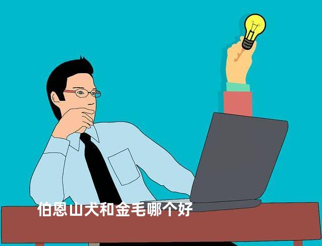 伯恩山犬和金毛哪个好