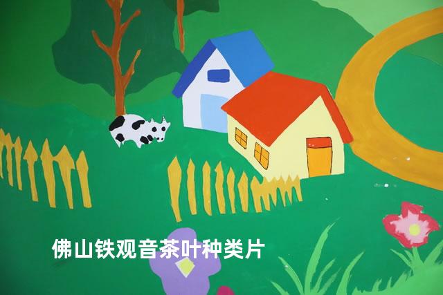 佛山铁观音茶叶种类片