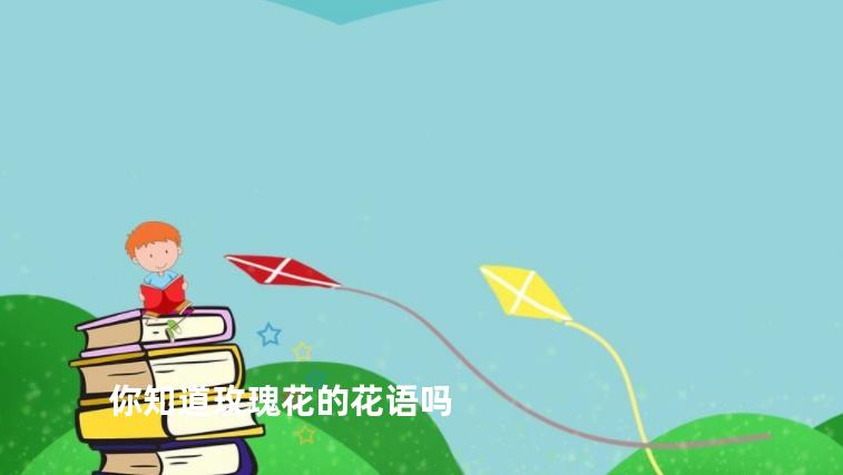 你知道玫瑰花的花语吗