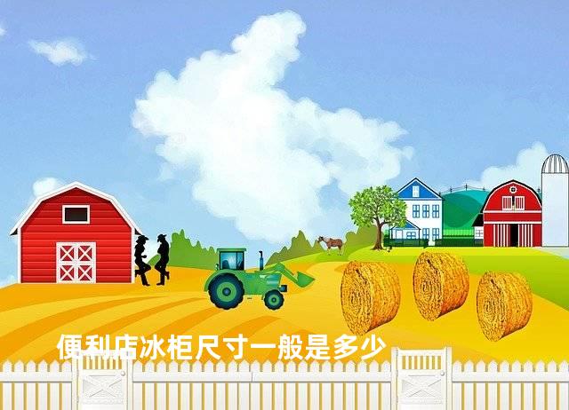 便利店冰柜尺寸一般是多少