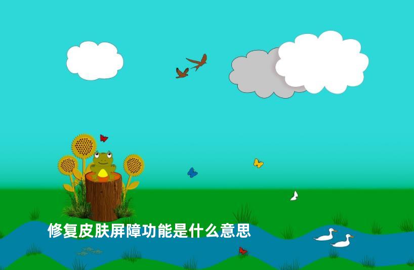 修复皮肤屏障功能是什么意思