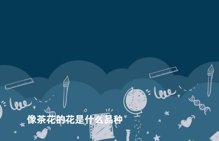 像茶花的花是什么品种