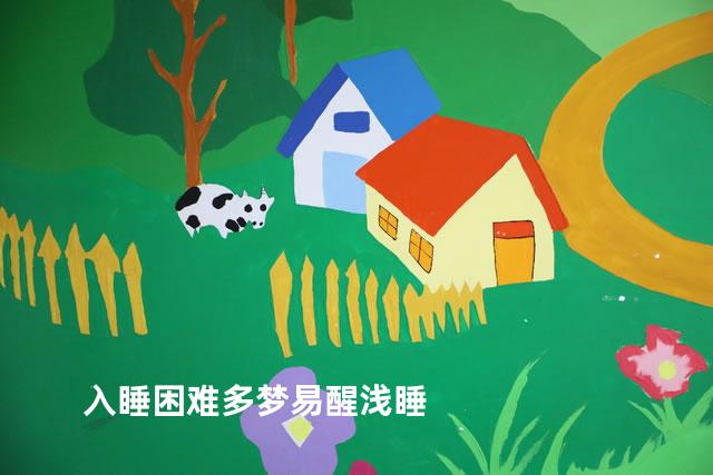 入睡困难多梦易醒浅睡