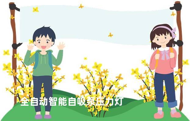 全自动智能自吸泵压力灯