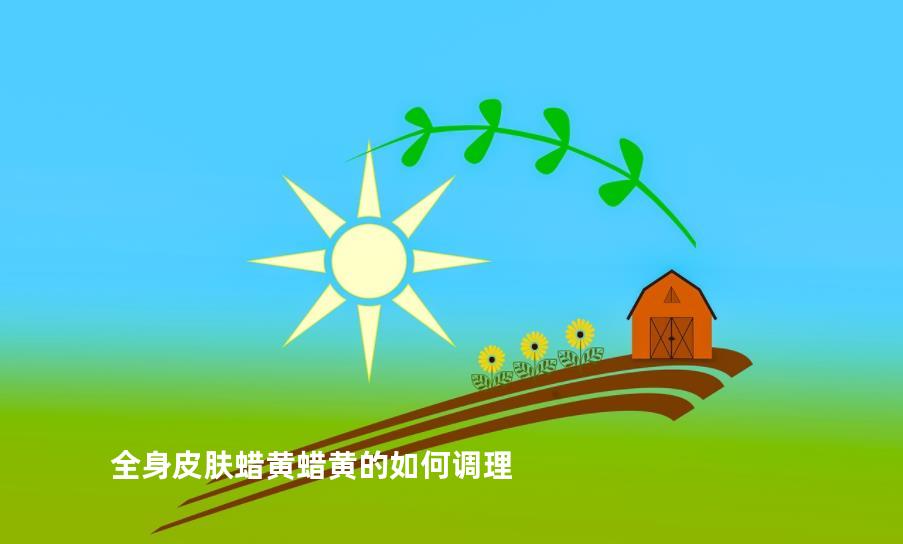 全身皮肤蜡黄蜡黄的如何调理