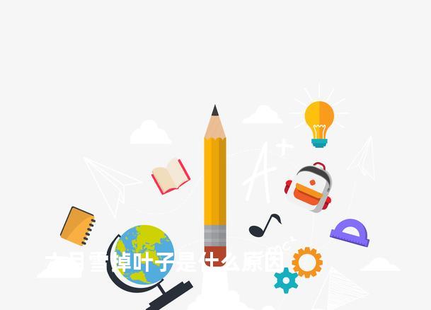 六月雪掉叶子是什么原因