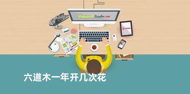 六道木一年开几次花