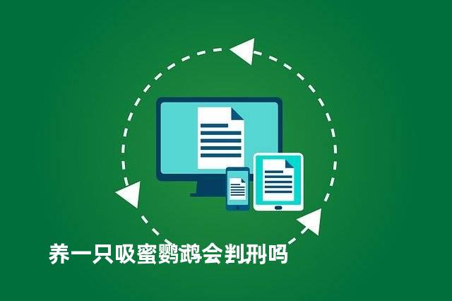 养一只吸蜜鹦鹉会判刑吗