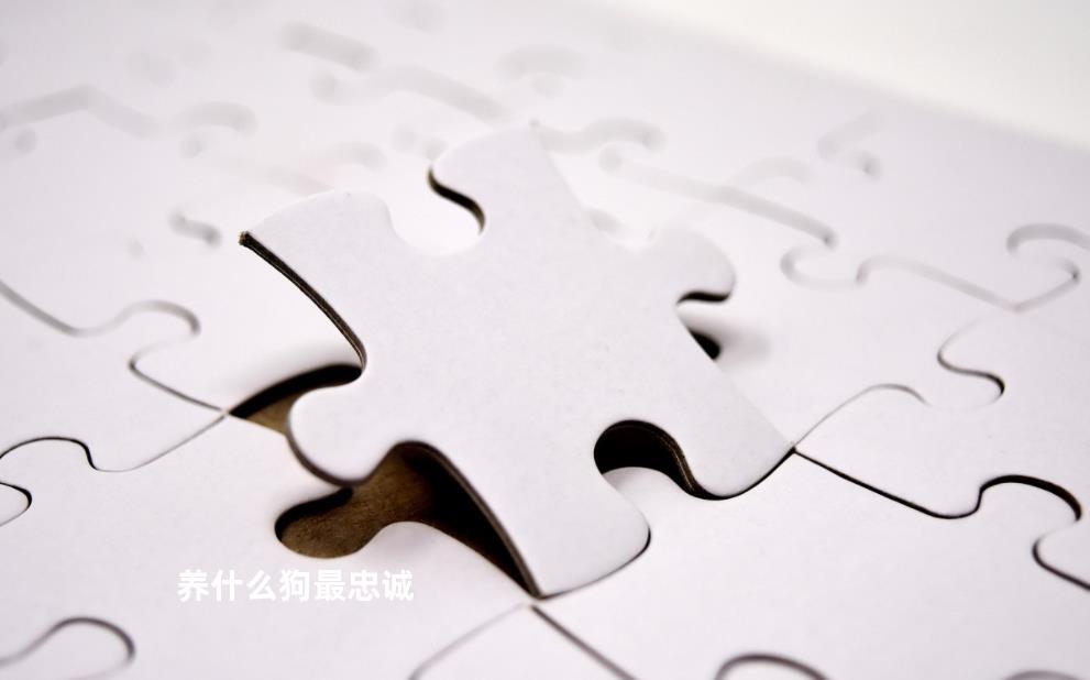 养什么狗最忠诚