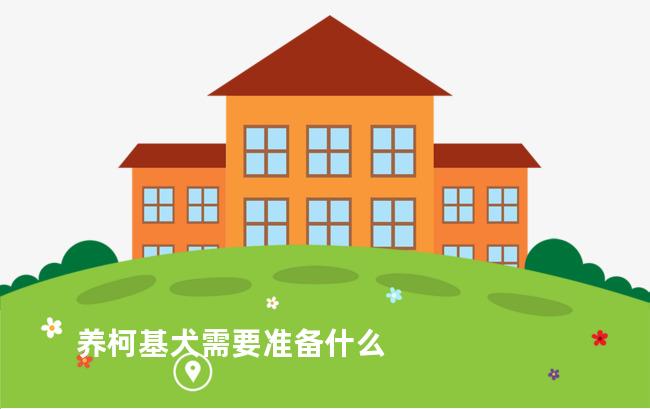 养柯基犬需要准备什么