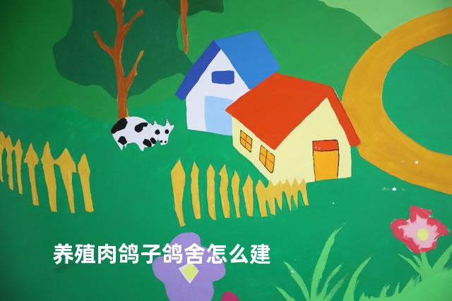 养殖肉鸽子鸽舍怎么建