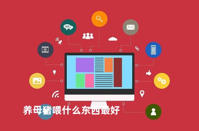 养母猪喂什么东西最好